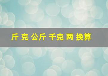 斤 克 公斤 千克 两 换算